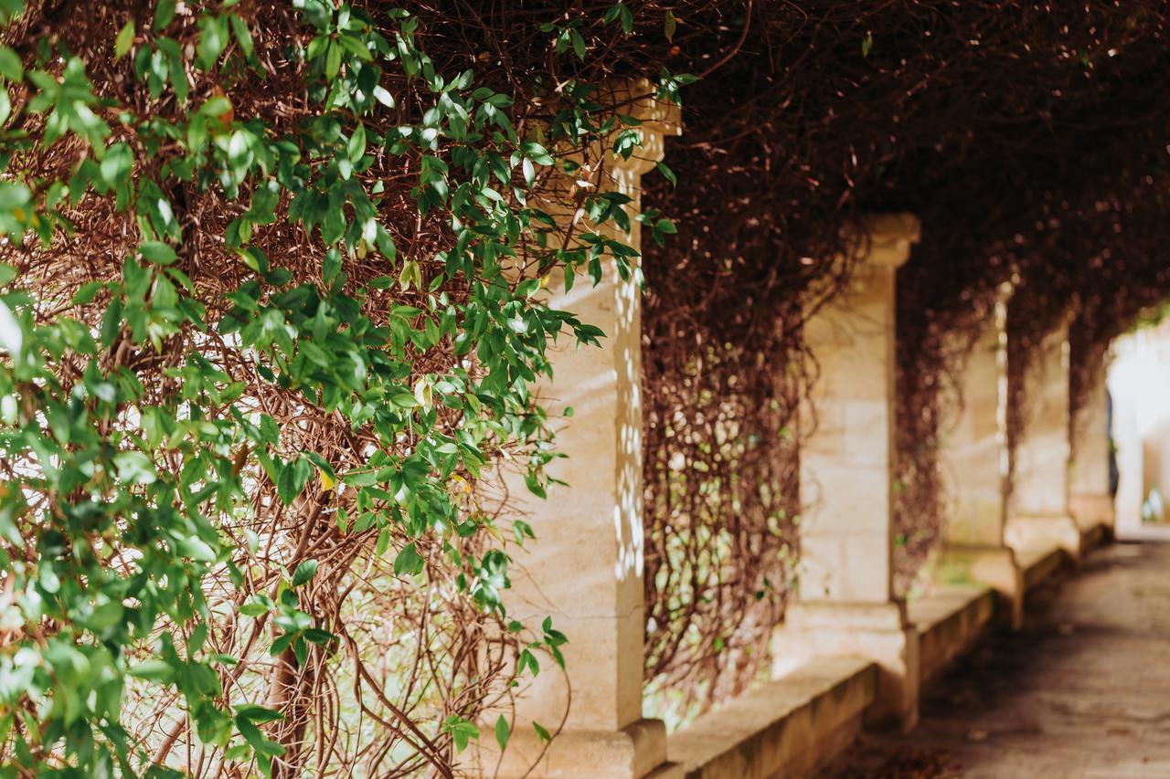 Masseria Ancella Montalbano  Luaran gambar